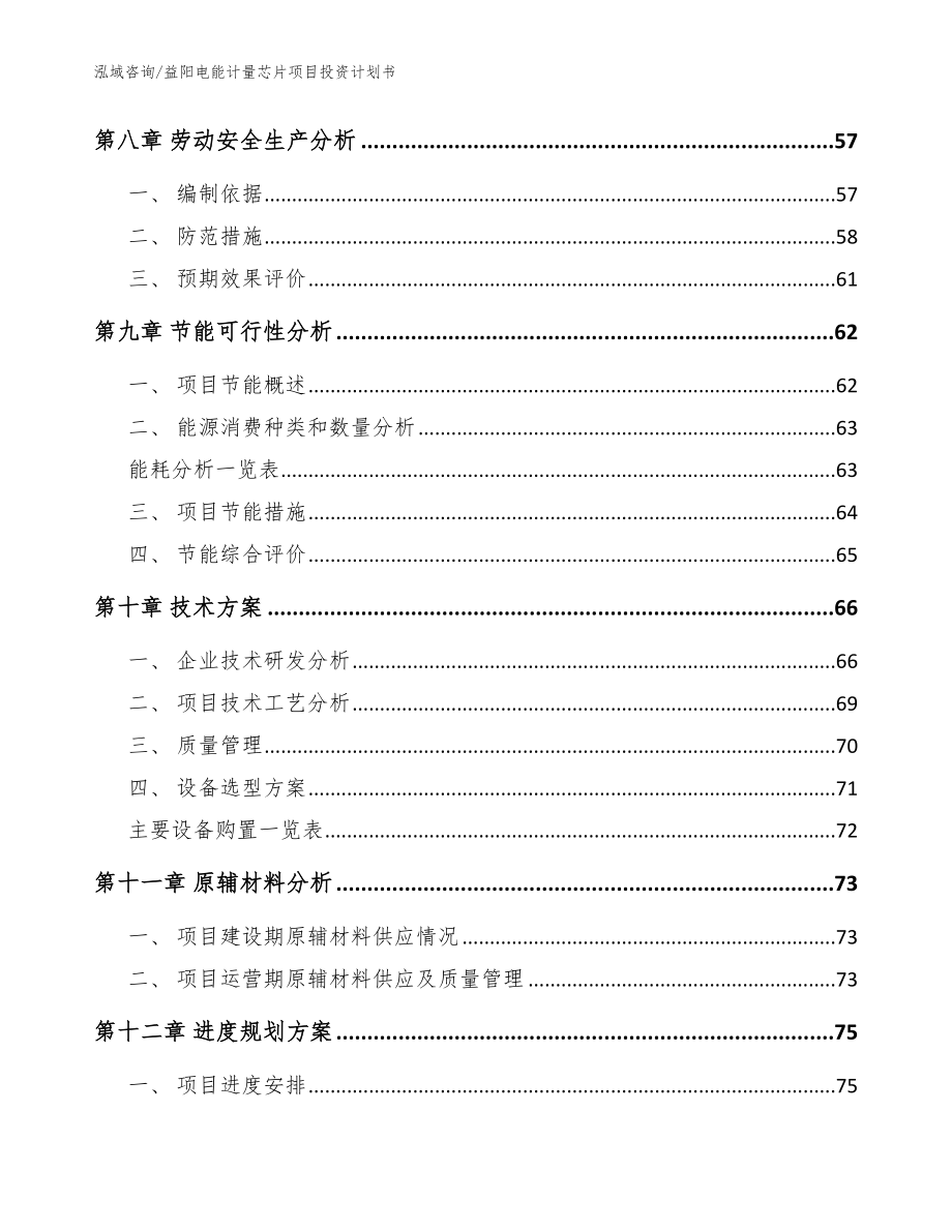 益阳电能计量芯片项目投资计划书_参考模板_第3页