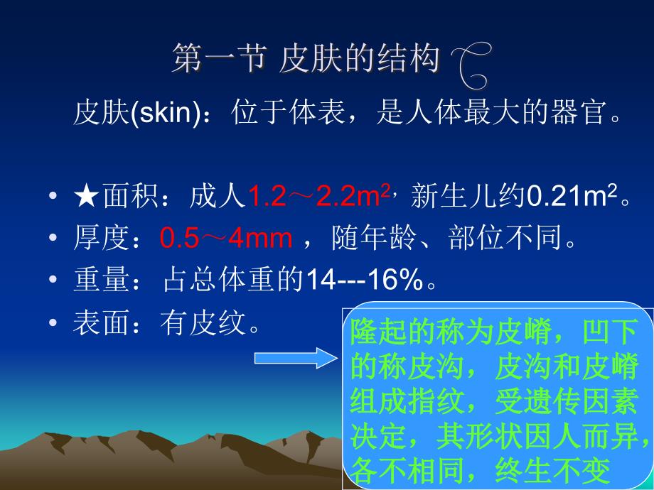 皮肤的结构PPT课件_第3页