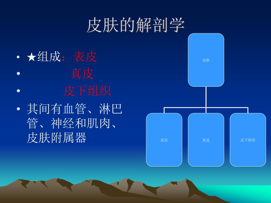 皮肤的结构PPT课件_第4页