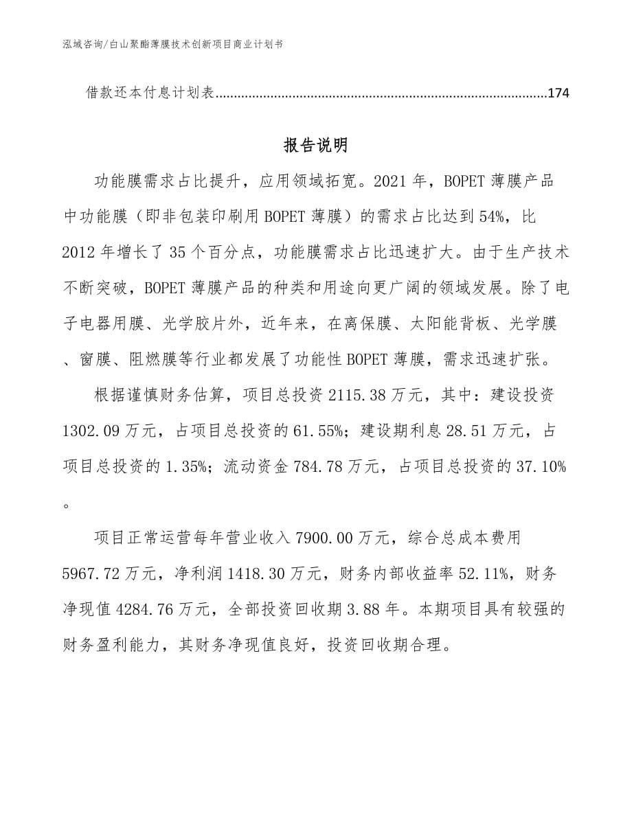 白山聚酯薄膜技术创新项目商业计划书模板参考_第5页