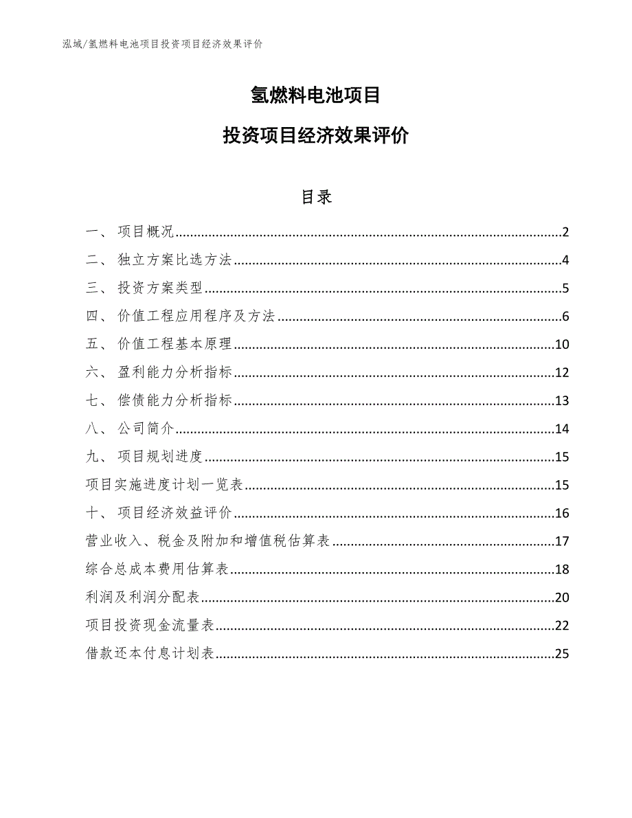 氢燃料电池项目投资项目经济效果评价_第1页