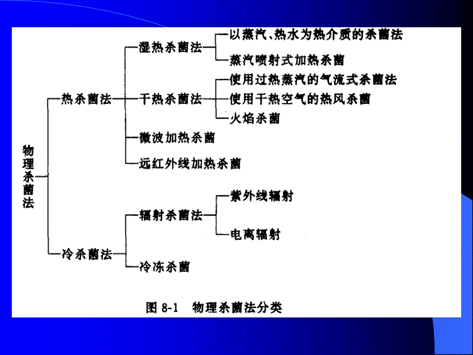 《食品杀菌设备》PPT课件_第3页