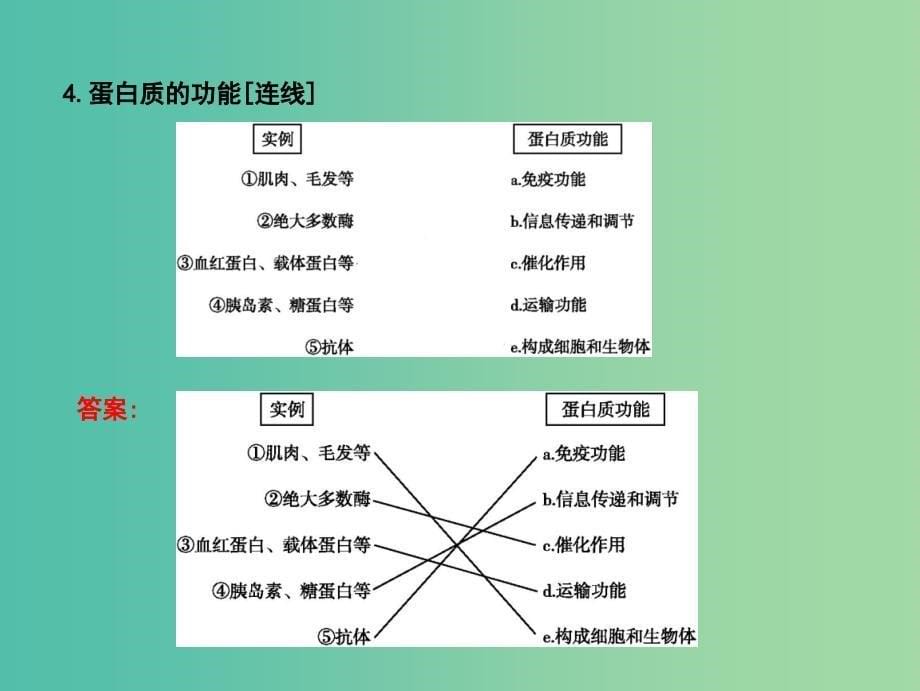 高中生物第一单元走近细胞和组成细胞的分子第3讲生命活动的主要承担者-蛋白质课件.ppt_第5页