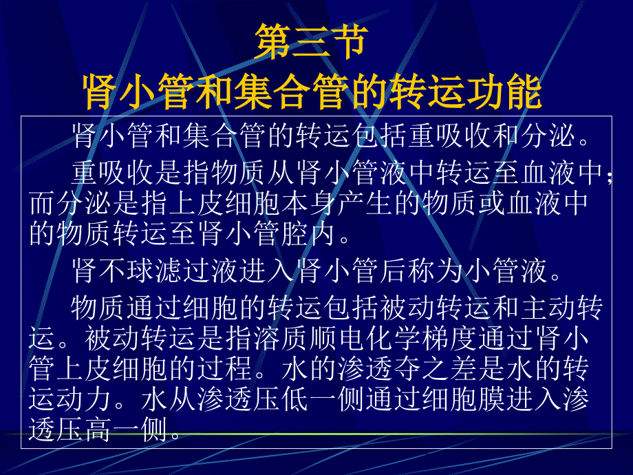 第八章肾脏的排泄之第三节与第四节小管转运和尿液浓缩_第2页