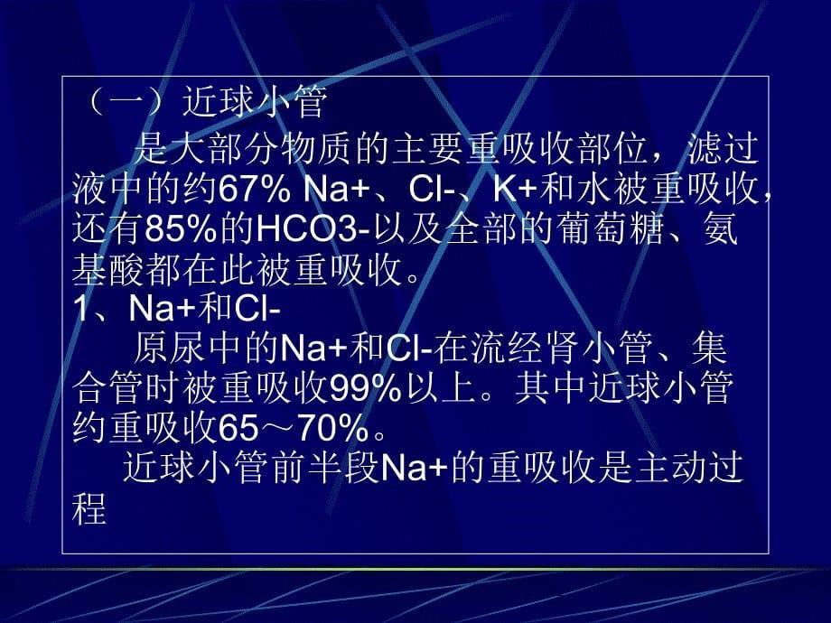 第八章肾脏的排泄之第三节与第四节小管转运和尿液浓缩_第5页