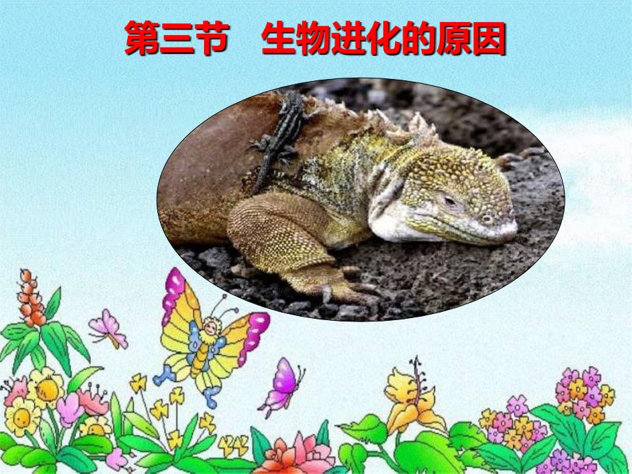 八年级生物生物进化的原因_第1页