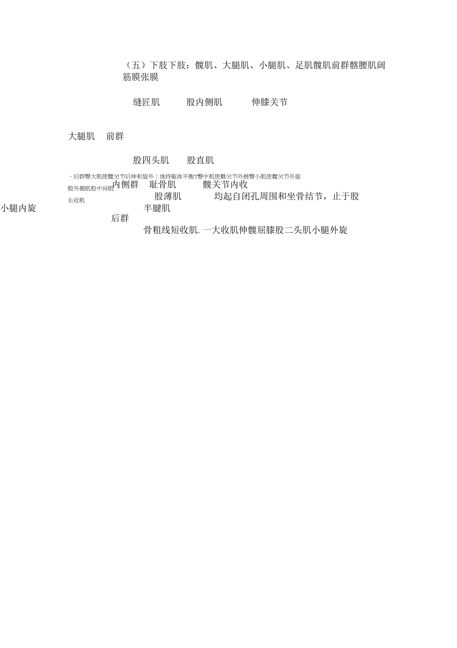 人体解剖学肌学_第4页