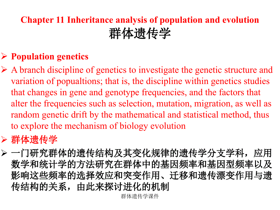 群体遗传学课件_第1页