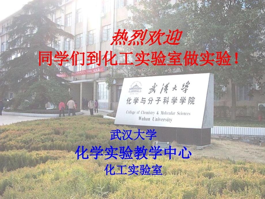 化工实验PPT课件_第1页