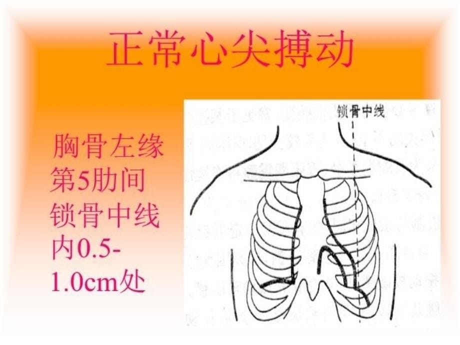 最新心脏检查CardiacExaminationPPPT课件_第5页