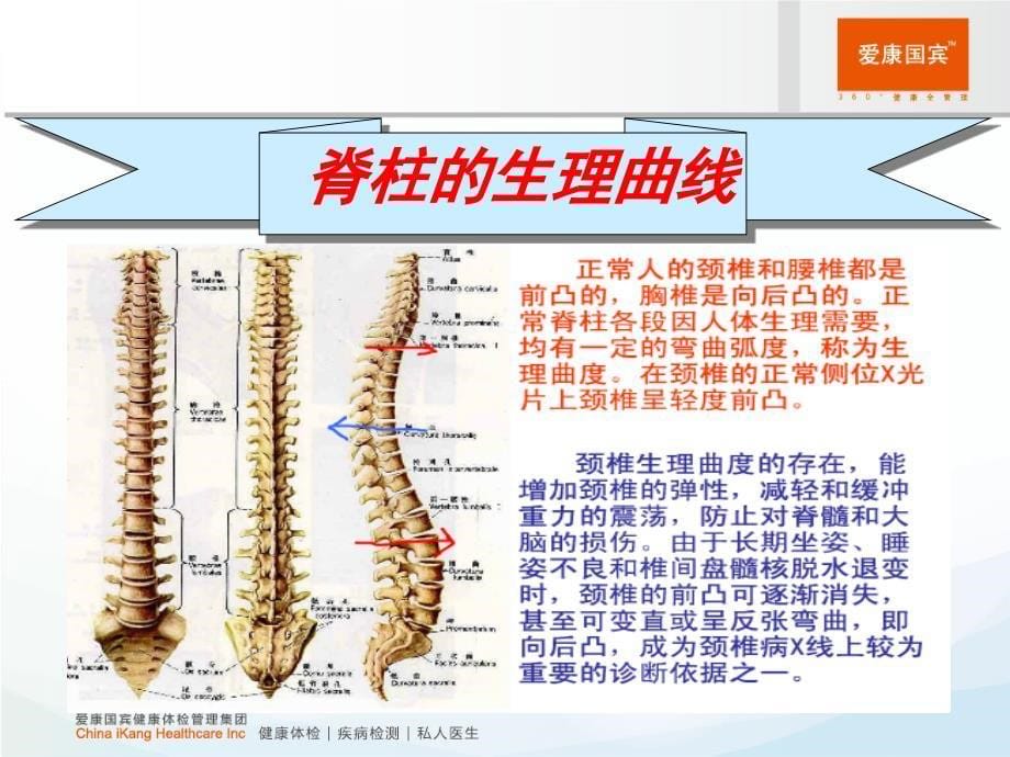 颈椎病秋季养生.ppt_第5页