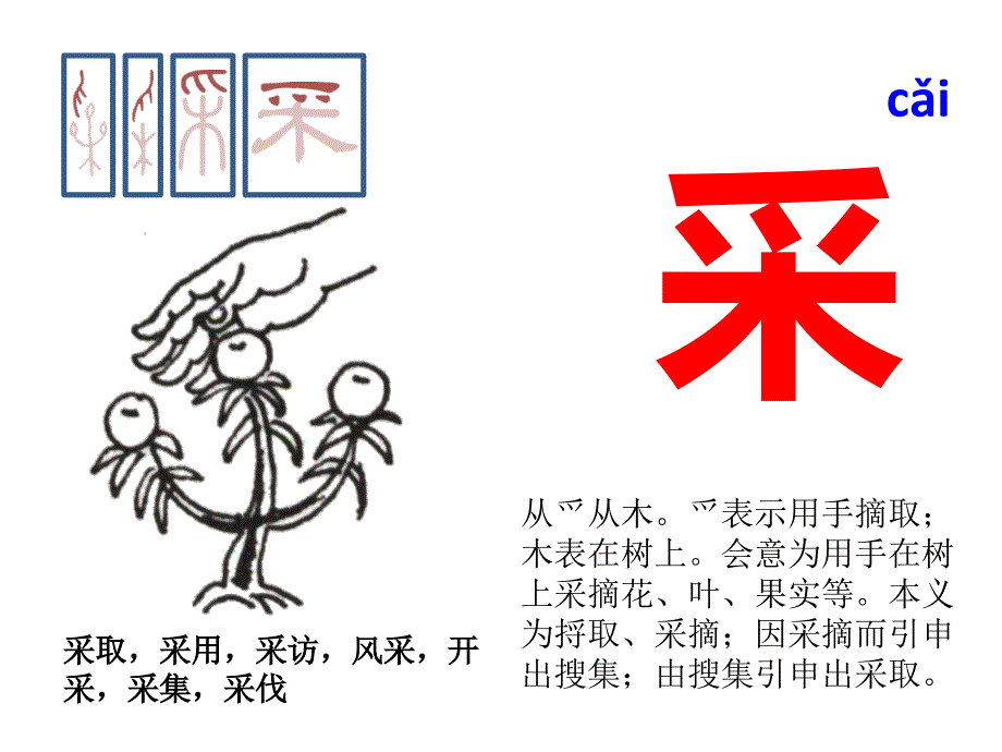 与“爪”有关的汉字分析课件_第2页