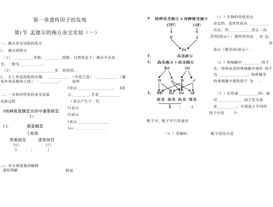 遗传因子的发现知识点总结.docx_第1页