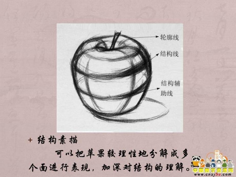 素描课件静物苹果绘画步骤图文.ppt_第3页