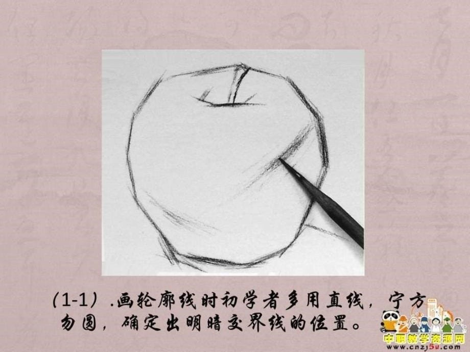 素描课件静物苹果绘画步骤图文.ppt_第5页