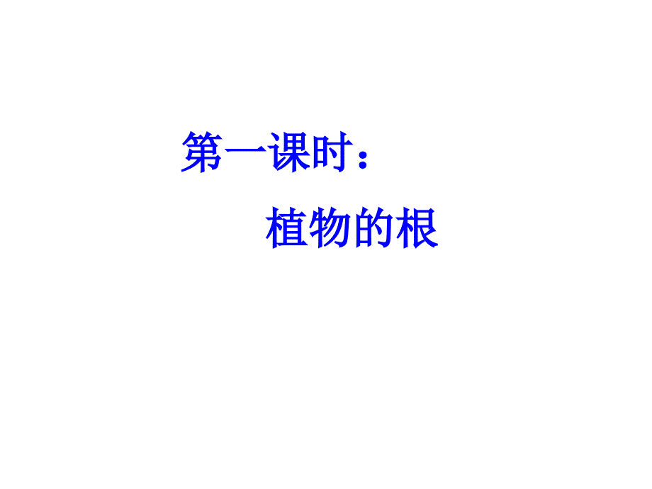 欣欣幼儿园大班科学《根茎叶花果实》课件_第3页