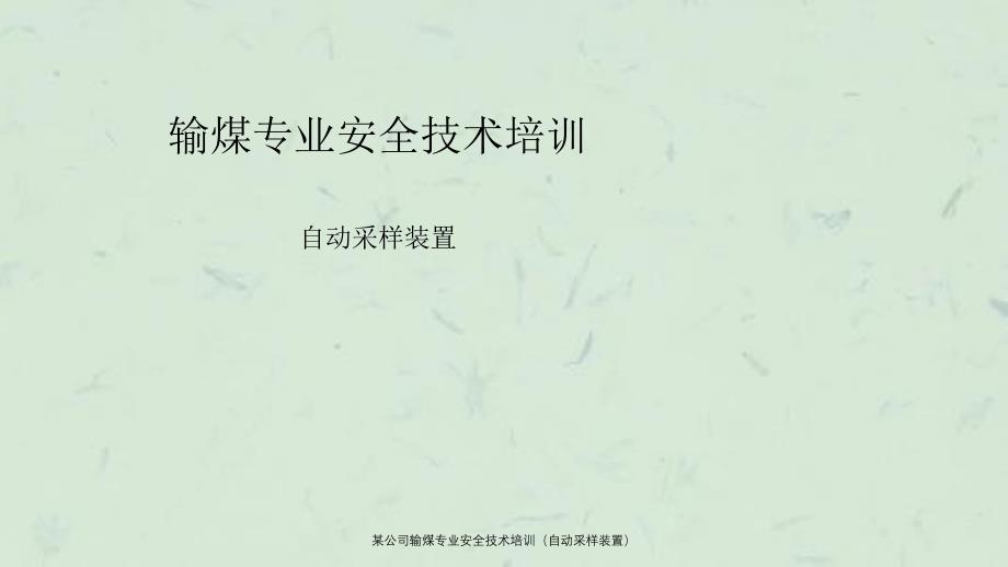 某公司输煤专业安全技术培训自动采样装置_第1页