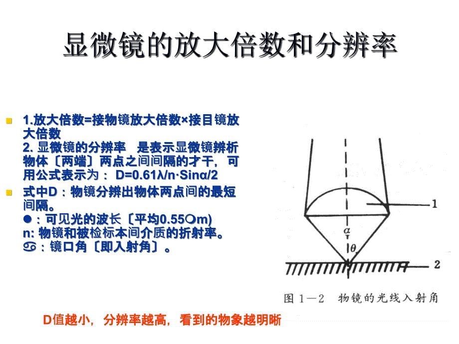 显微镜油镜的使用和细菌的革兰氏染色ppt课件_第5页