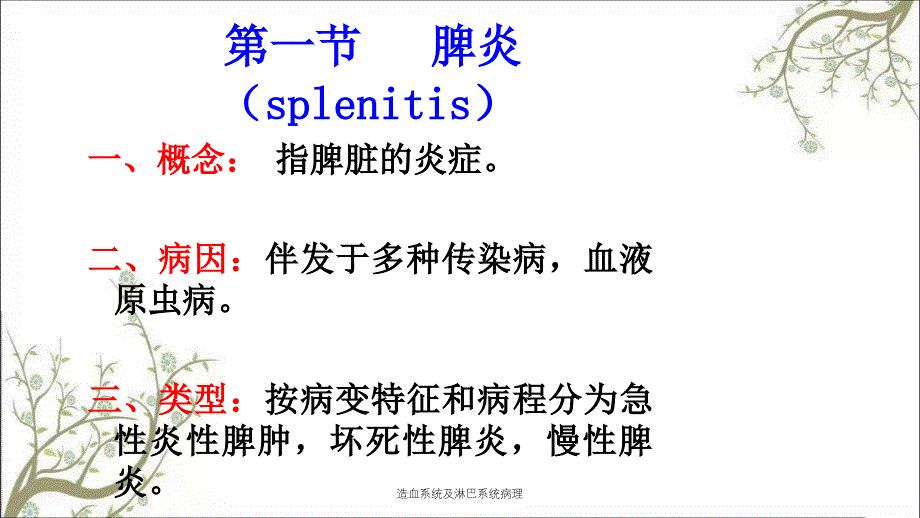 造血系统及淋巴系统病理_第3页