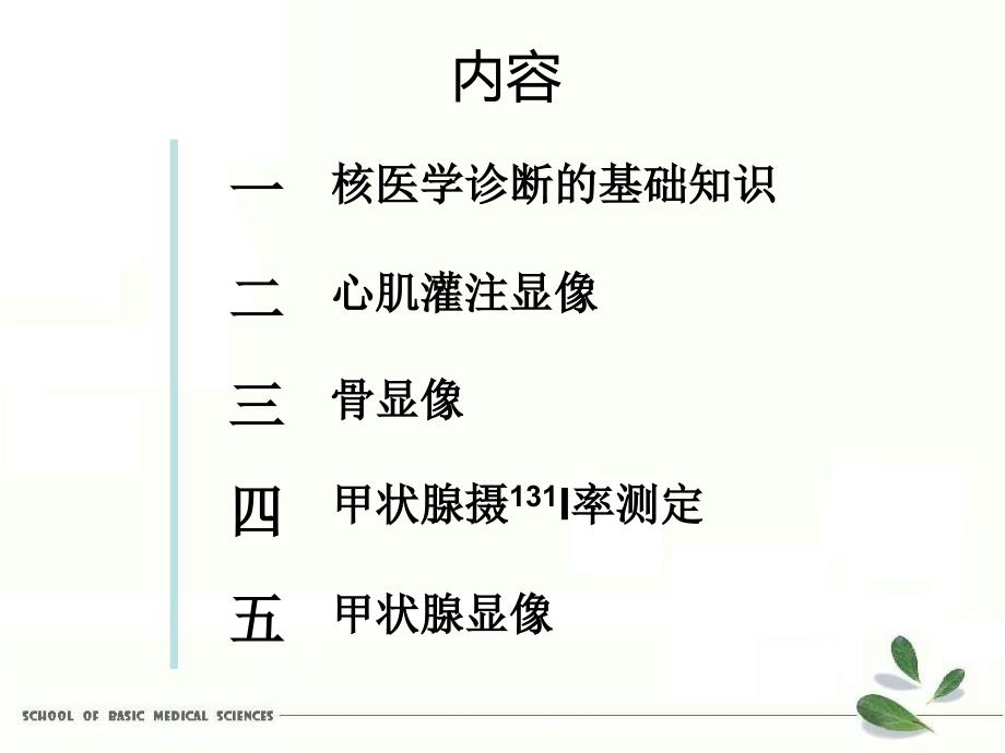 核医学诊断行业特制_第2页