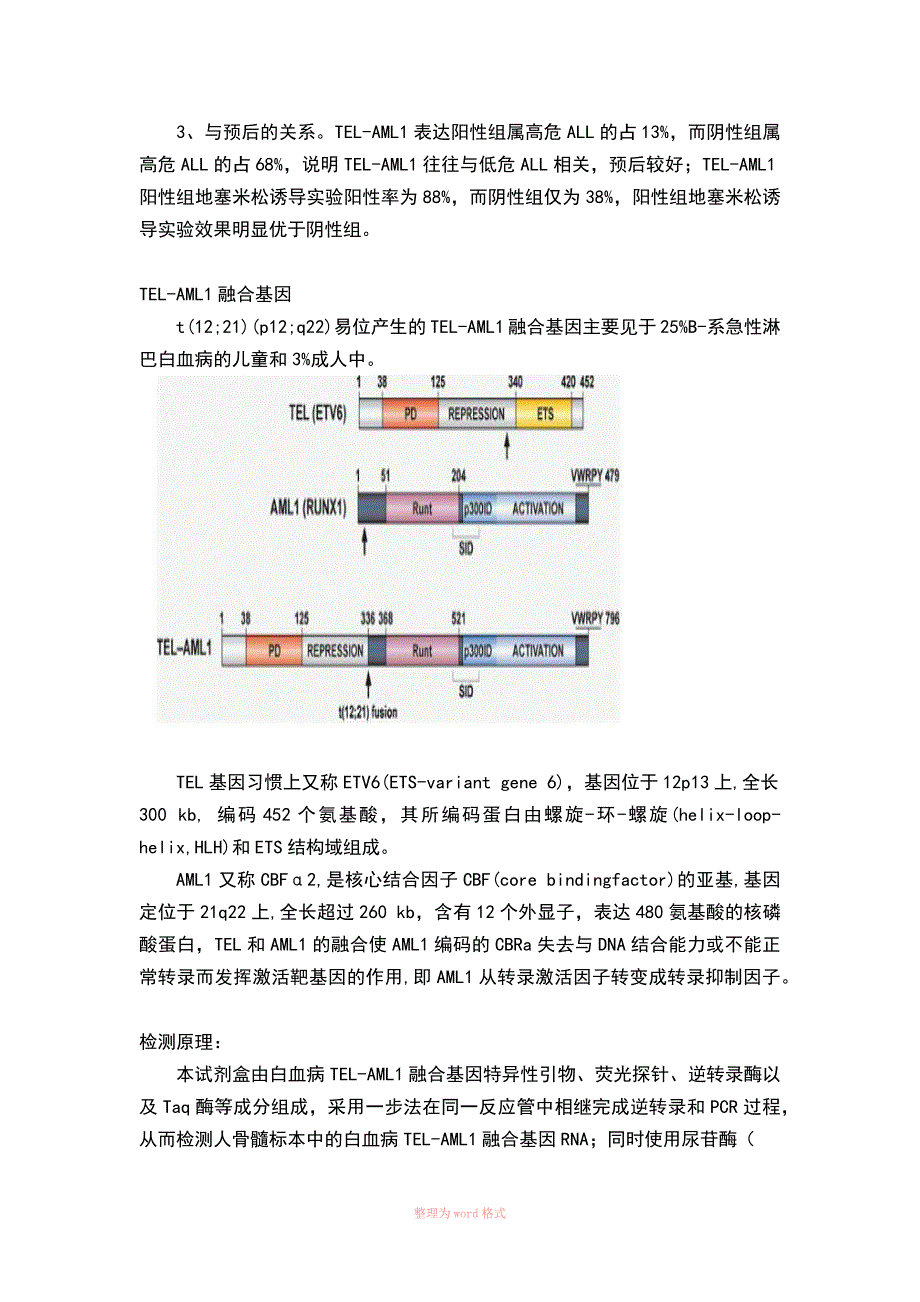 白血病融合基因_第4页