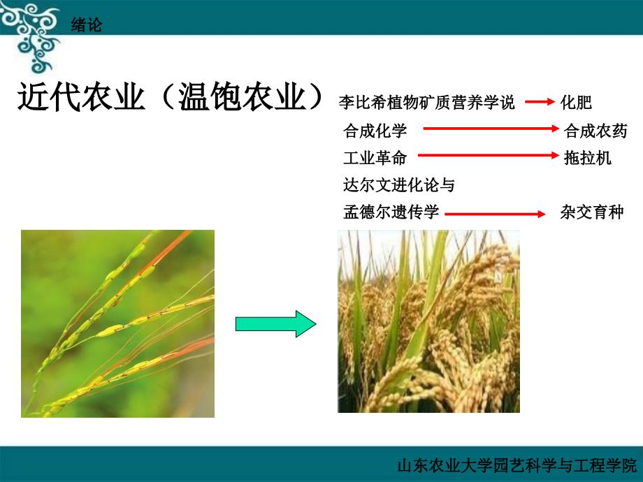 园艺植物育种学：绪论-1_第4页