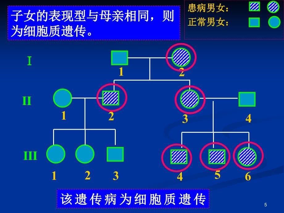 遗传系谱分析专题PowerPoint演示文稿_第5页