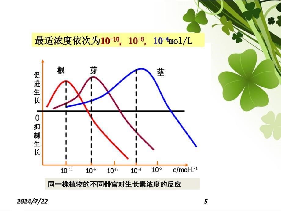 生长素的生理作用_第5页