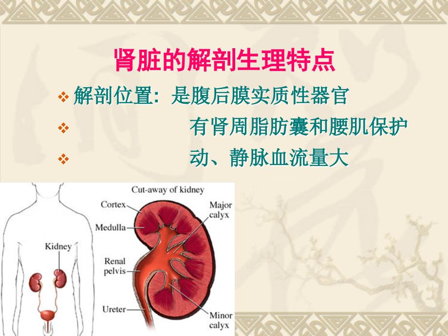 泌尿与男性生殖系统疾病医疗护理PPT课件_第3页