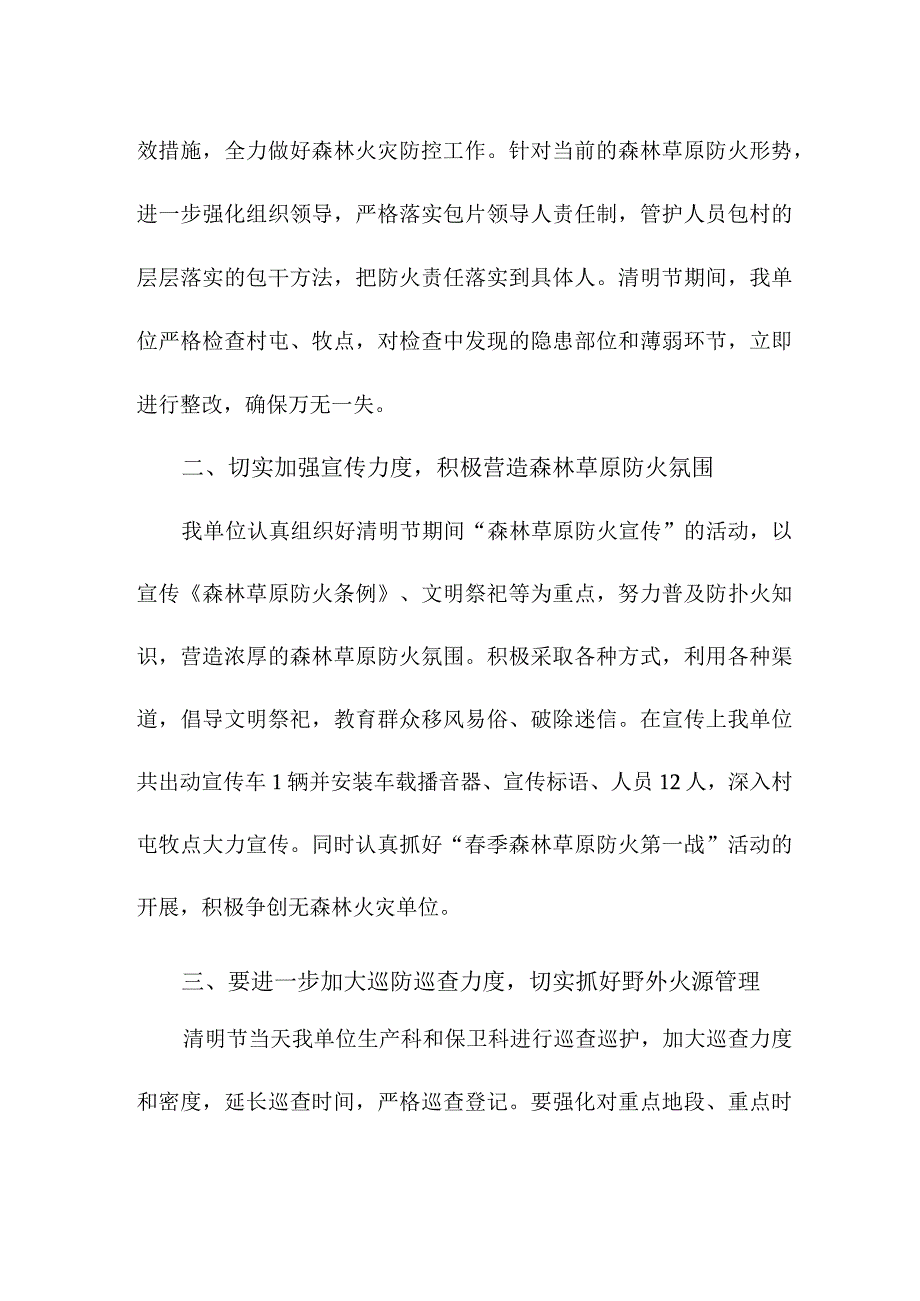 乡镇森林草原防火工作专项总结汇编4份_第4页