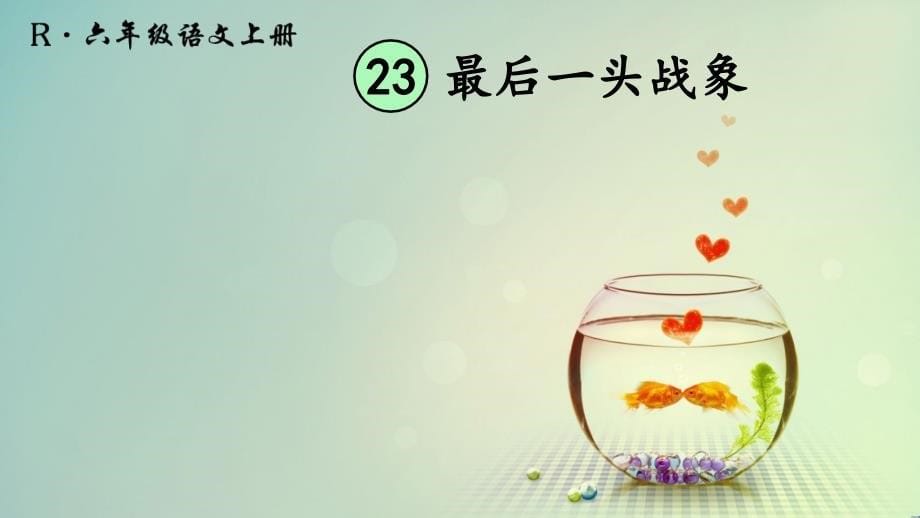 23最后一头战象_第5页