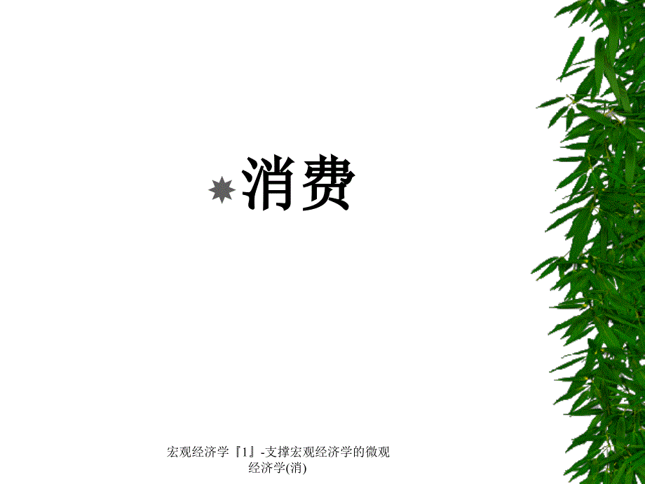 宏观经济学1支撑宏观经济学的微观经济学消课件_第1页