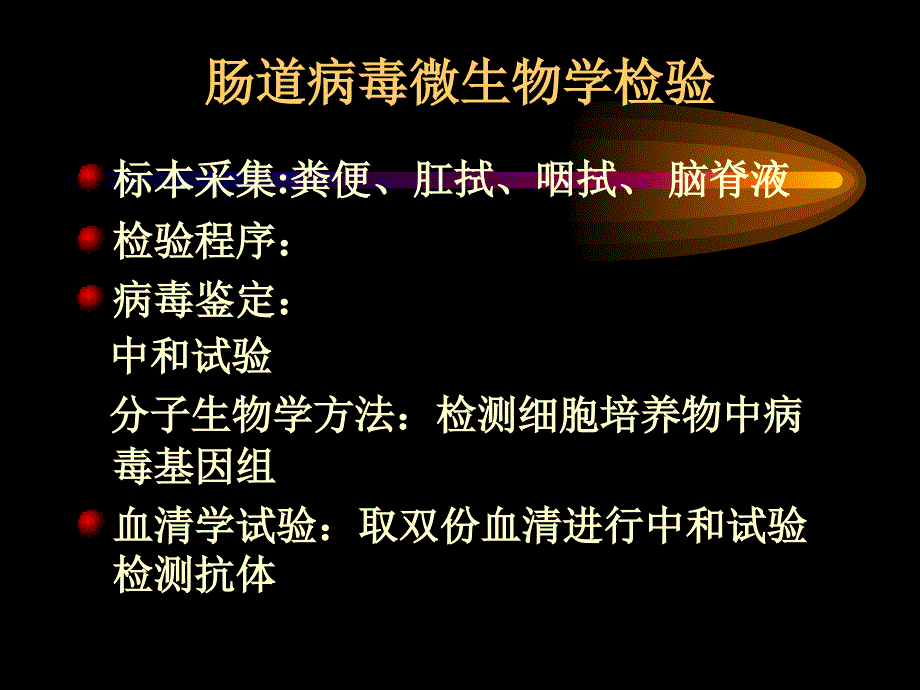 微生物及检验学教学课件_第4页