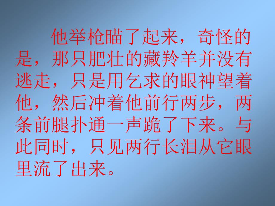 绿园小学孙贯杰_第4页