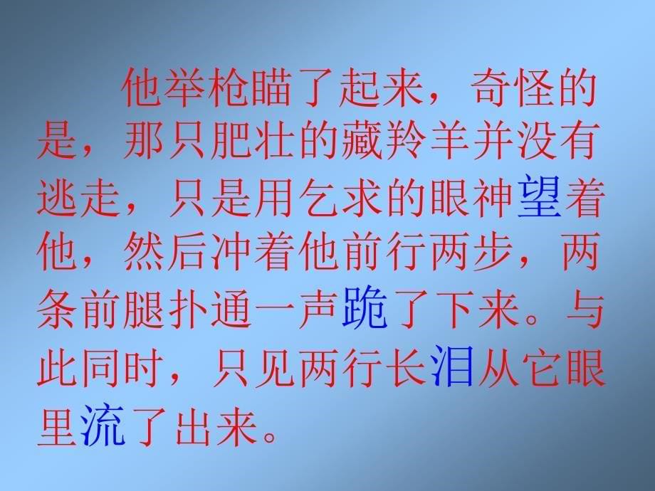 绿园小学孙贯杰_第5页