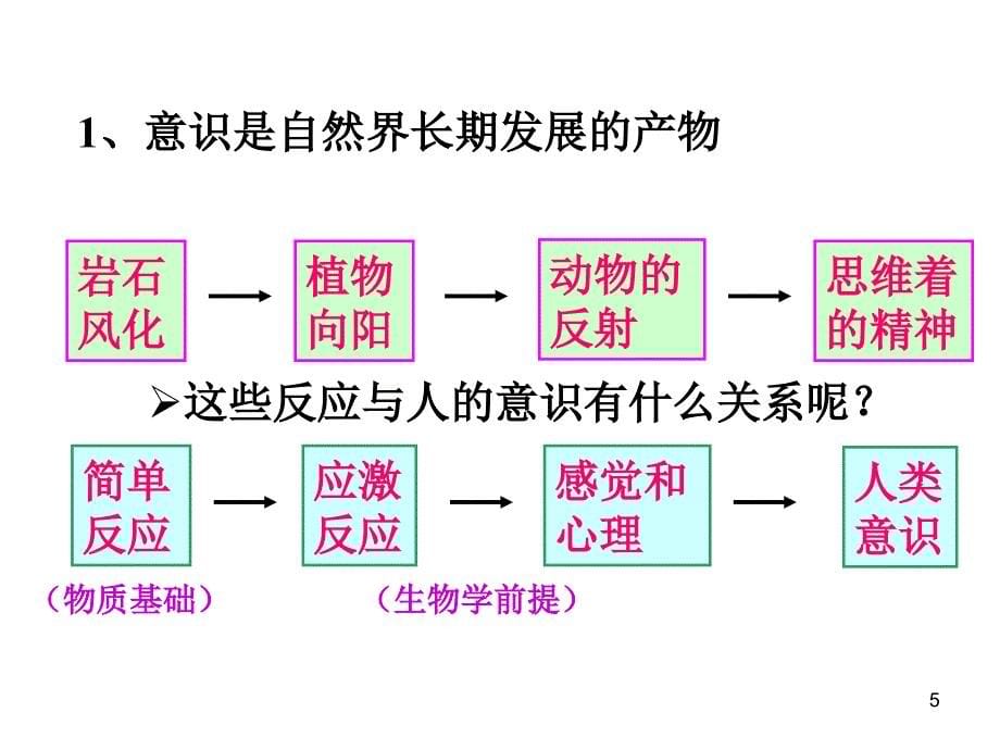 意识的本质55001_第5页