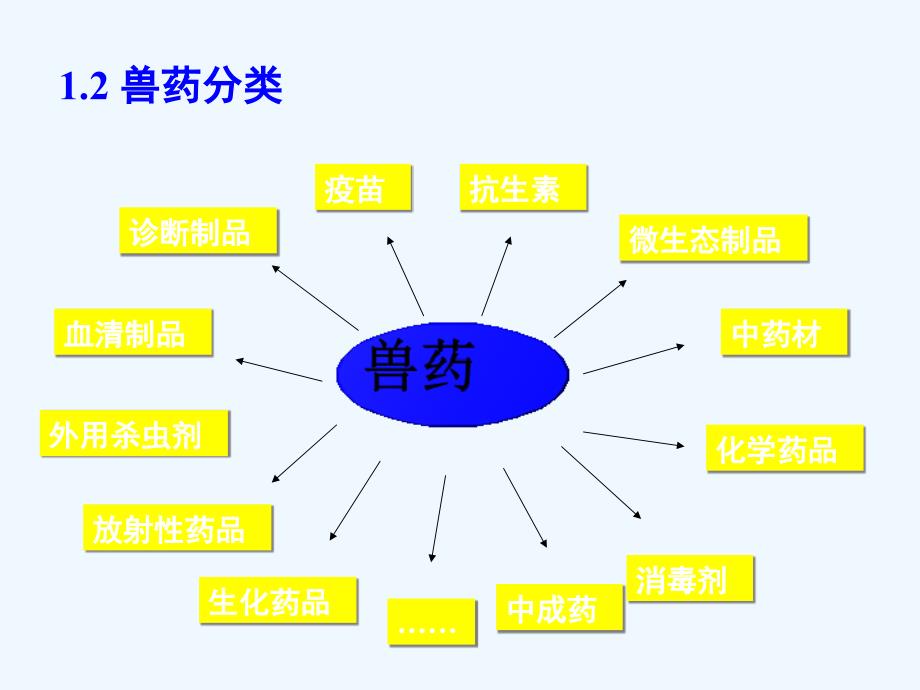 兽药领域执法检查专业知识与_第5页