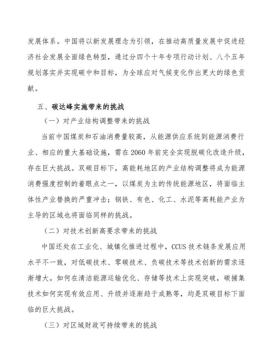 江苏省绿色低碳技术重大突破项目分析_第5页