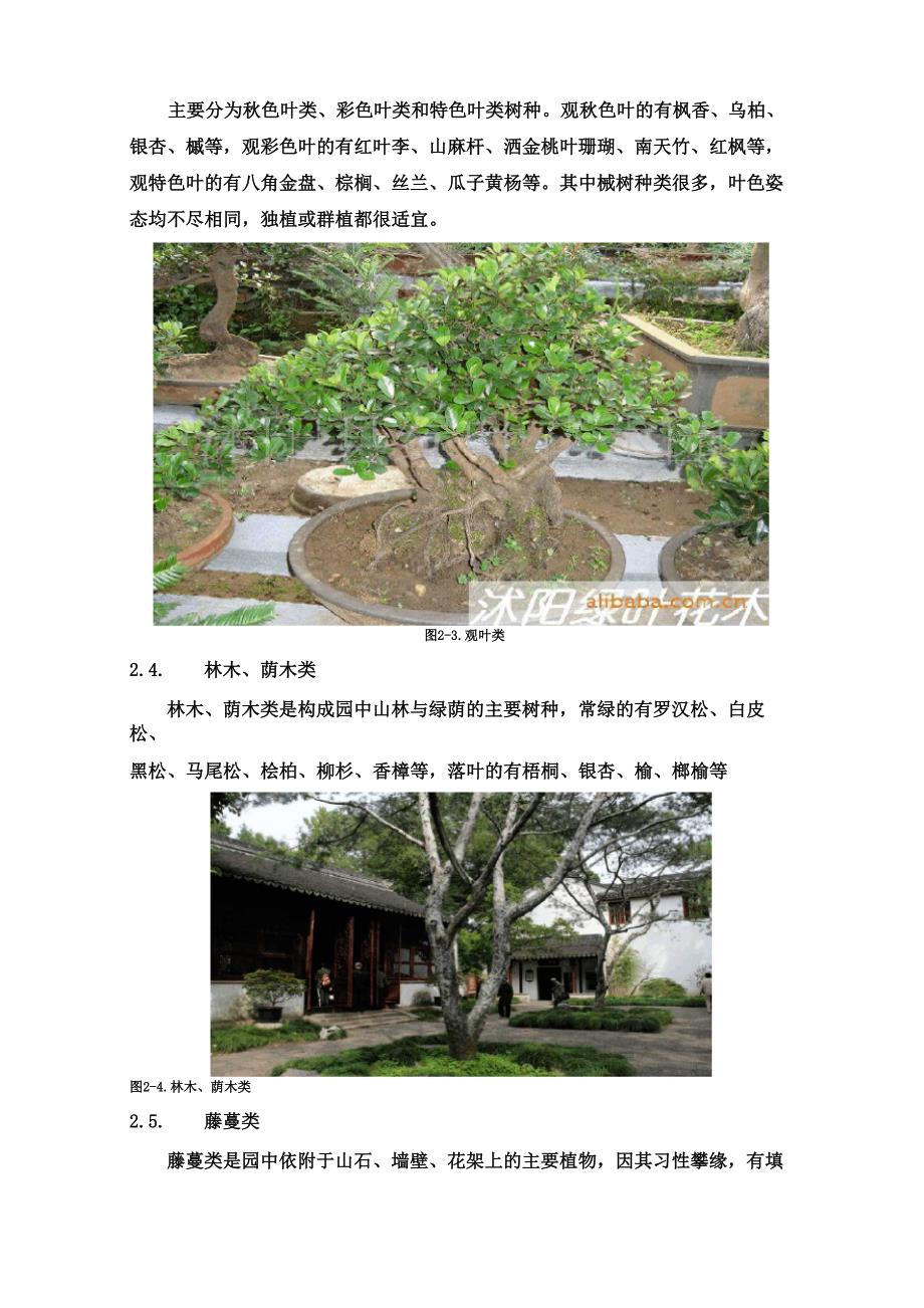 苏州古典园林植物造景_第4页