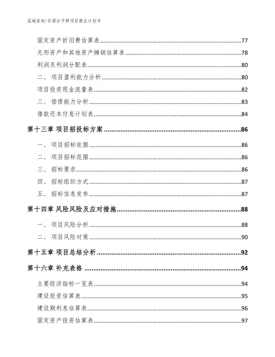 吕梁分子筛项目商业计划书_第5页