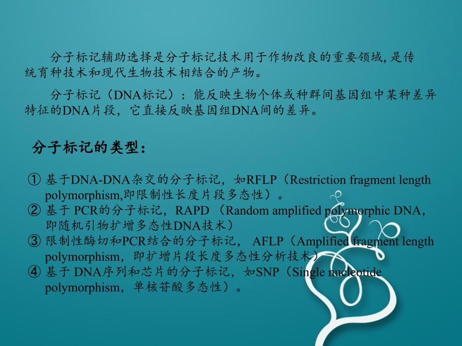 分子标记辅助育种MAS_第4页