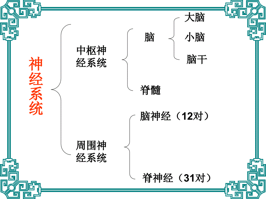 神经系统监测及护理_第4页