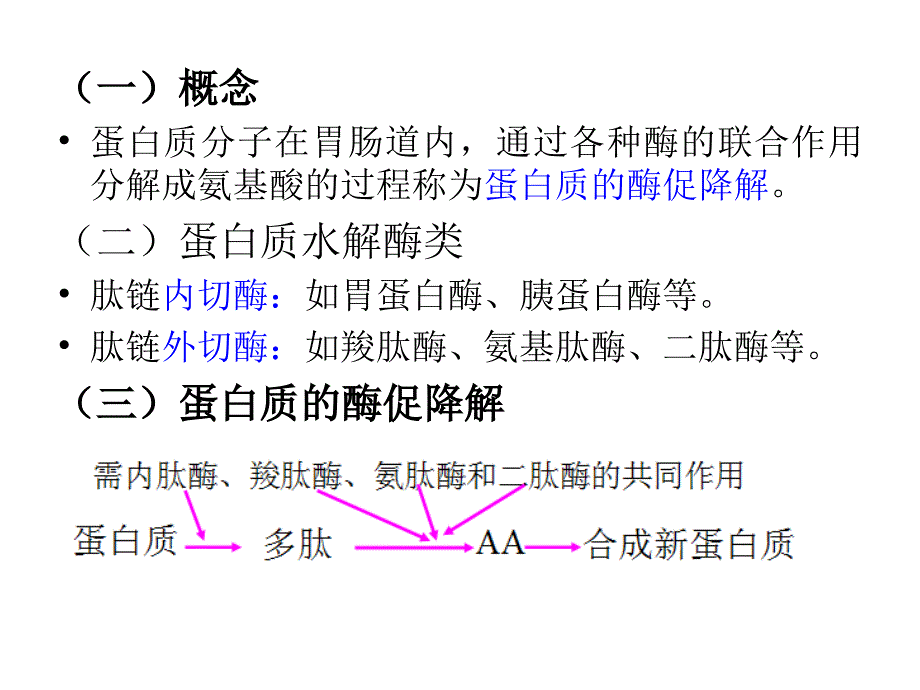 第七章氨基酸代谢_第3页