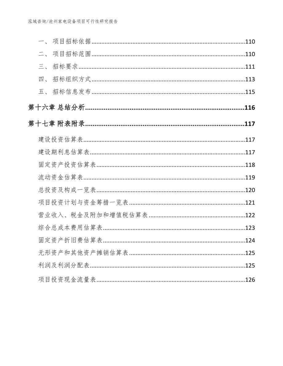 沧州家电设备项目可行性研究报告（模板范本）_第5页