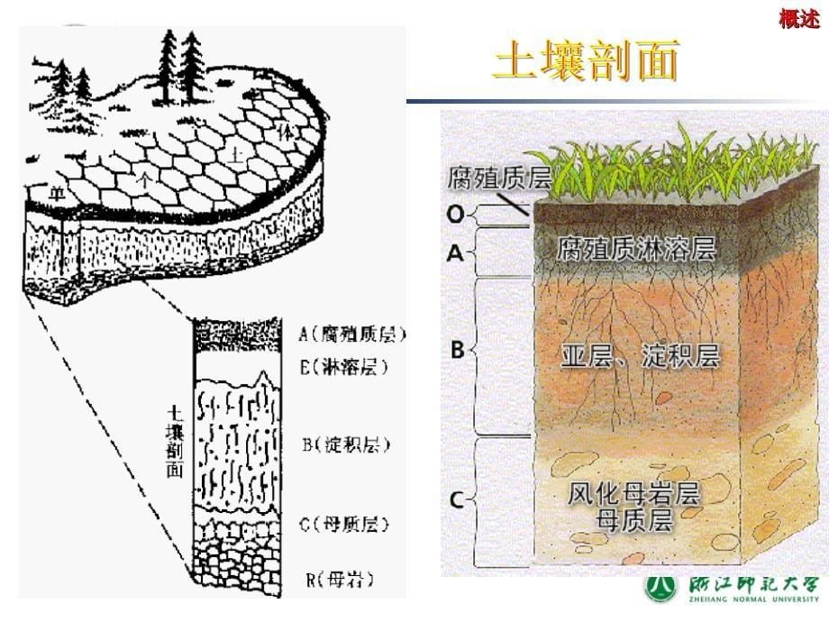 污染土壤的环境修复技术环境修复原理与技术_第5页