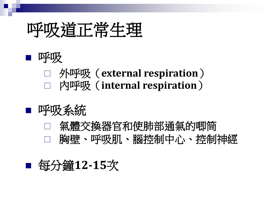 呼吸道解剖构造PPT课件_第3页