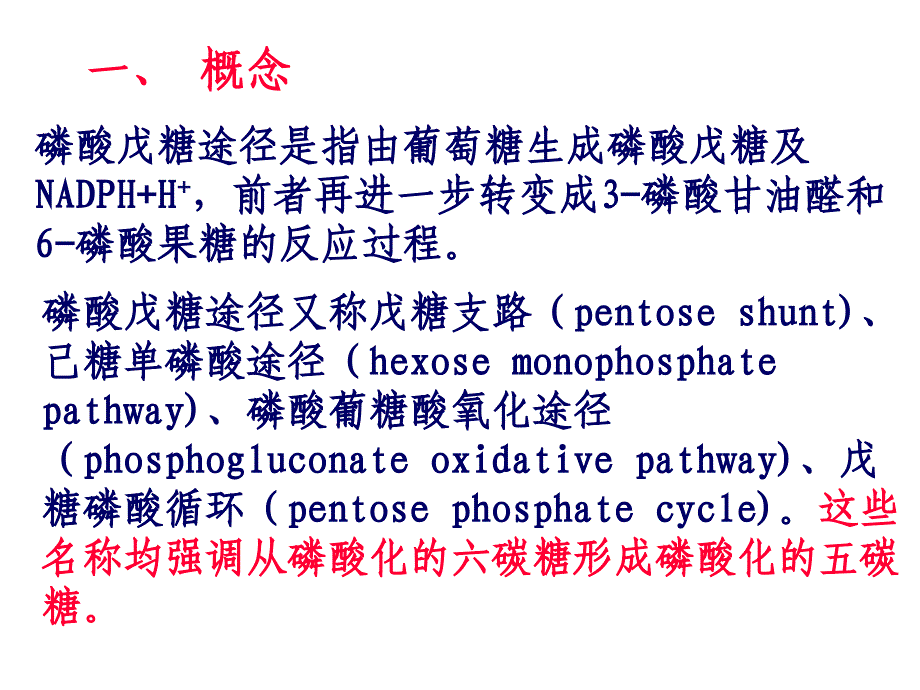 戊糖磷酸途径异生糖原合成与分解_第3页