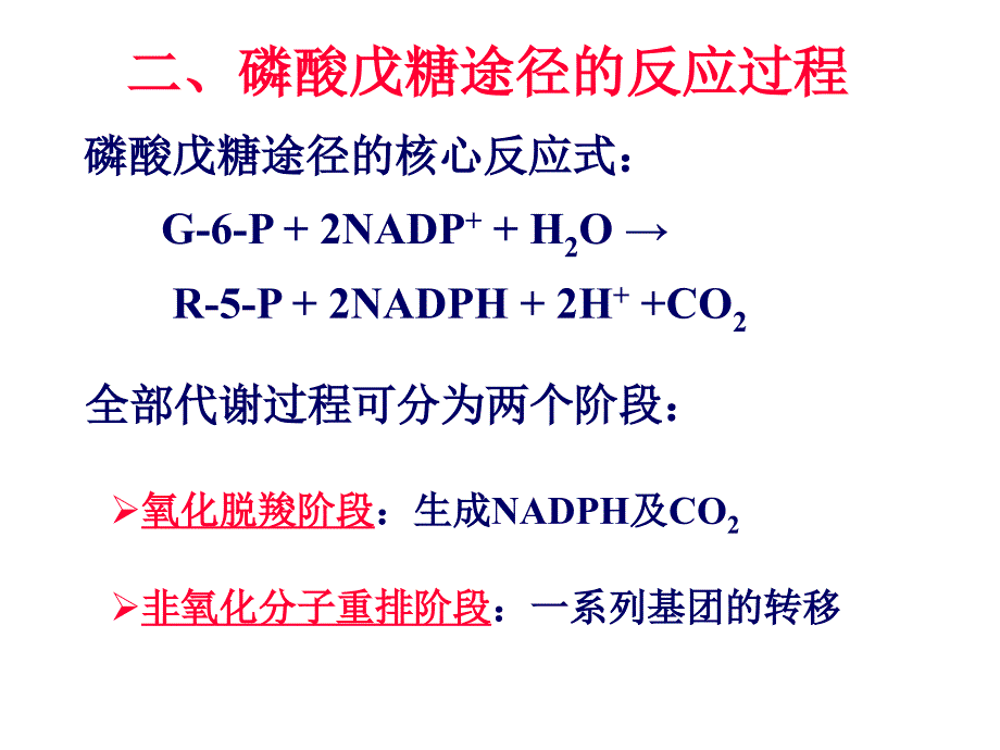 戊糖磷酸途径异生糖原合成与分解_第4页