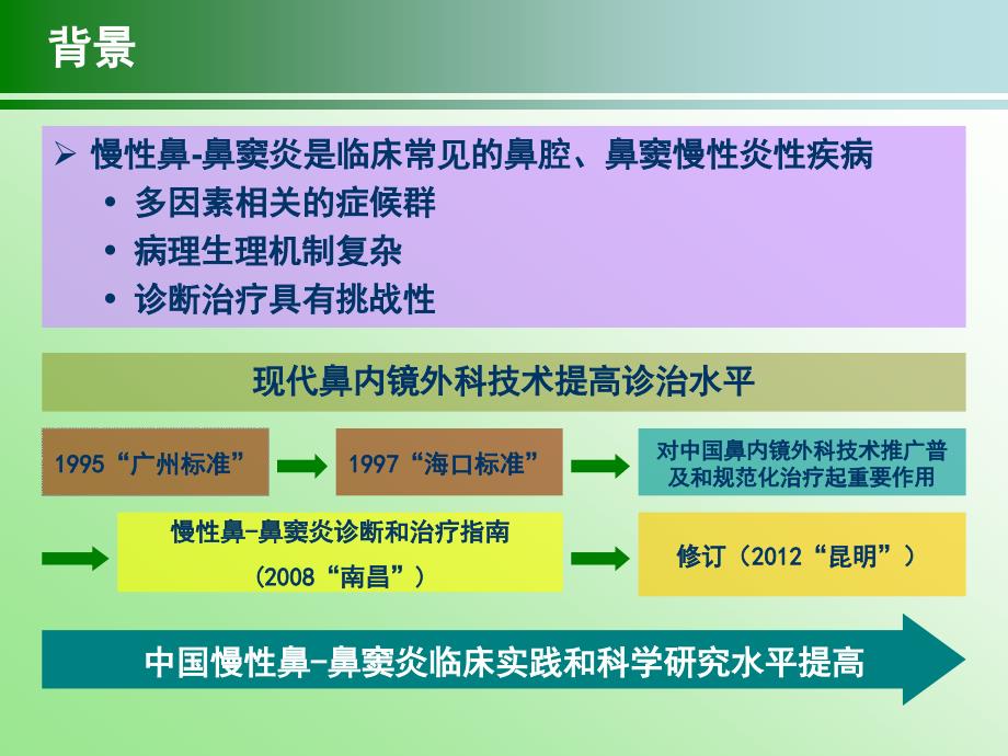 慢性鼻鼻窦炎治疗指南2012昆明_第2页