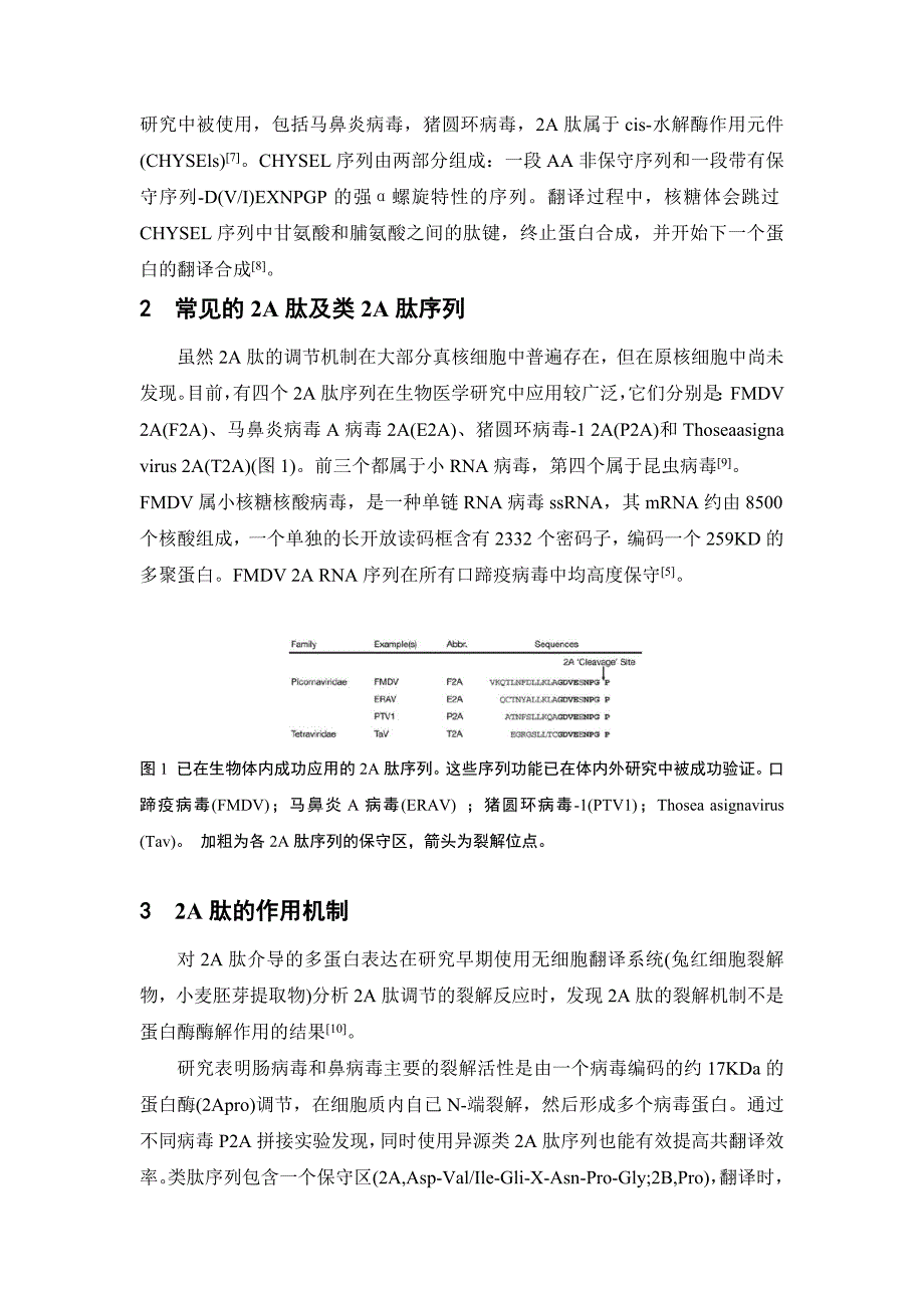 2A肽及其在多基因共表达中的应用_第3页